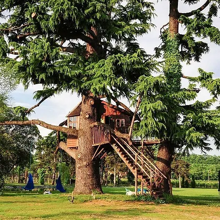 Country house Belvivere *
